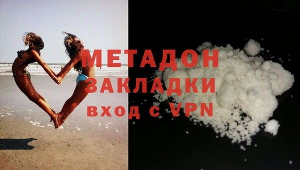прущие грибы Бронницы