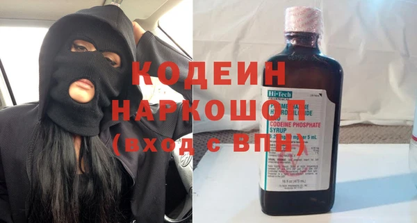 прущие грибы Бронницы