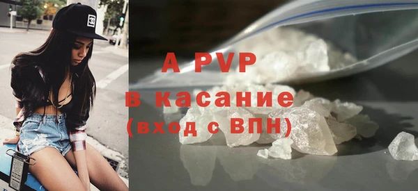 прущие грибы Бронницы