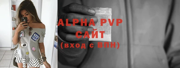прущие грибы Бронницы
