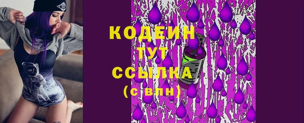 прущие грибы Бронницы