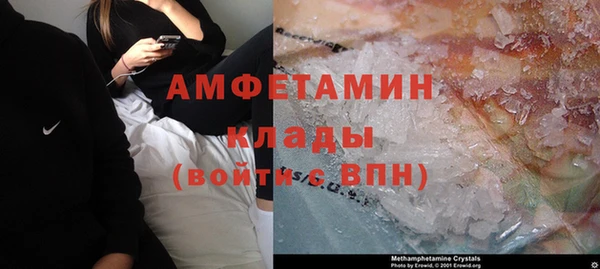 прущие грибы Бронницы