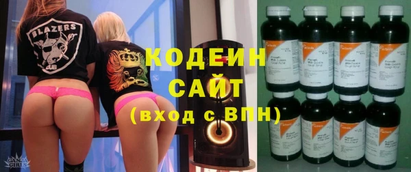 прущие грибы Бронницы