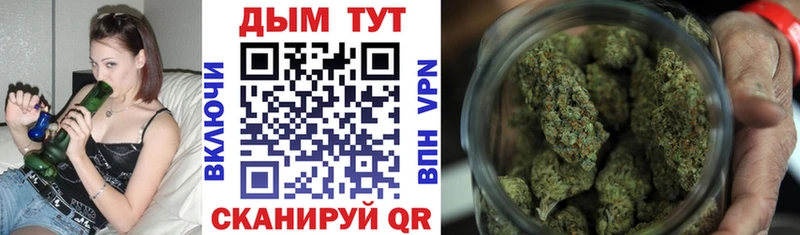 MEGA ссылки  Черняховск  shop Telegram  Бошки Шишки SATIVA & INDICA 